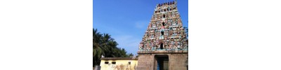 10. திருபல்லவனீச்சரம்